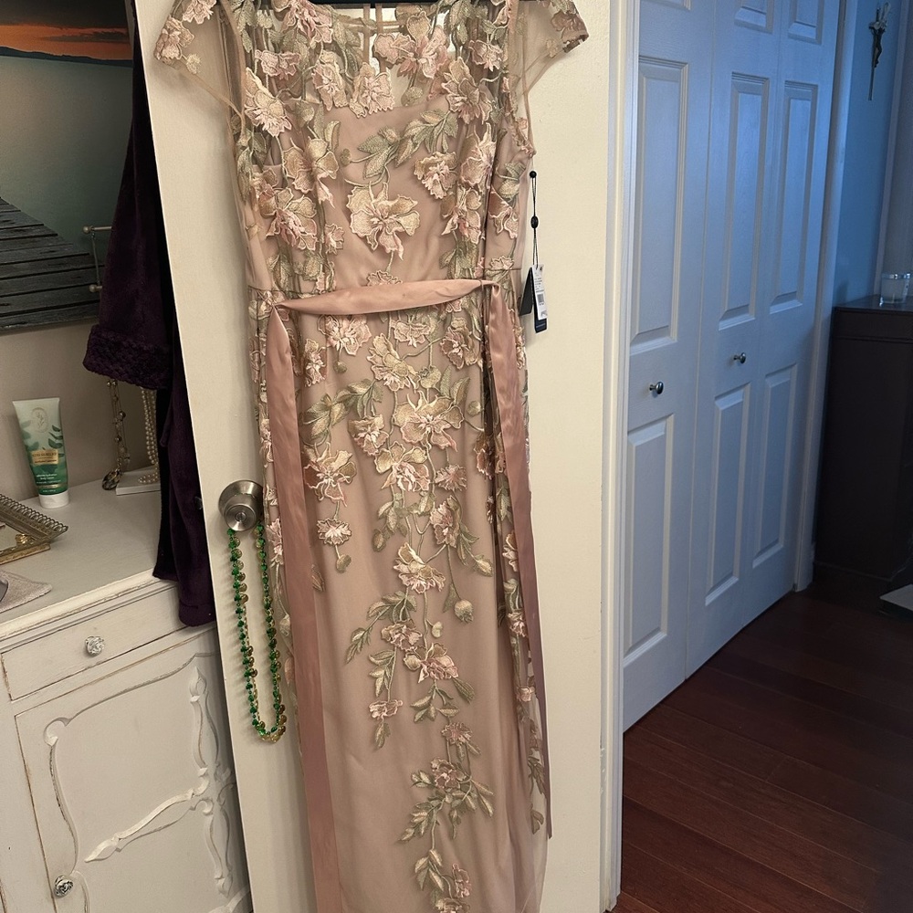Adrianna Papell Blush Floral Maxi Dress